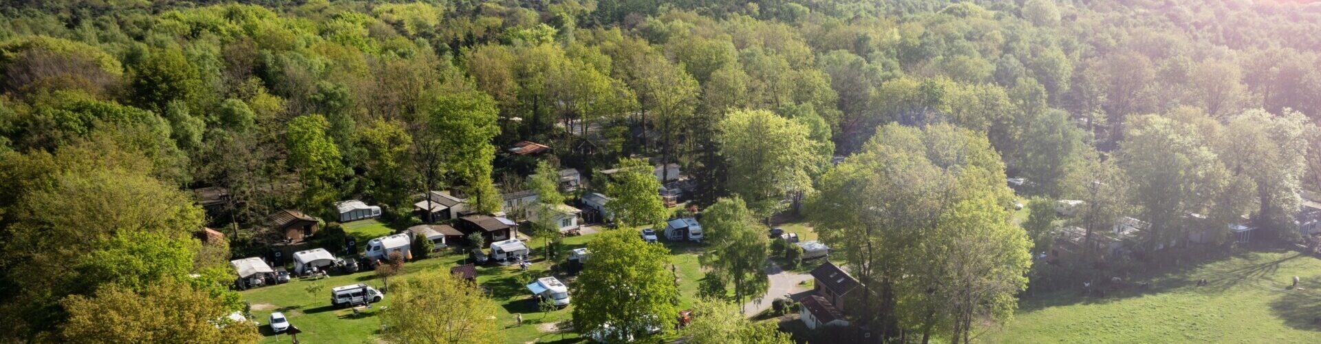 Natuurcamping in Twente bij natuurgebied het Springendal