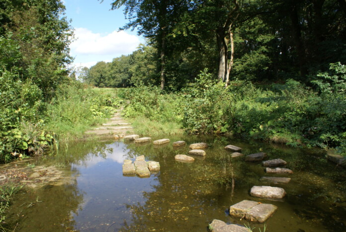 Wandelpad langs een beekje in natuurgebied het Springendal bij Ootmarsum