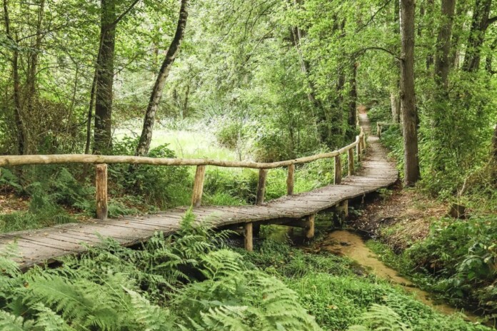 Natuurgebied het Springendal naast natuurcamping in Twente bij Ootmarsum