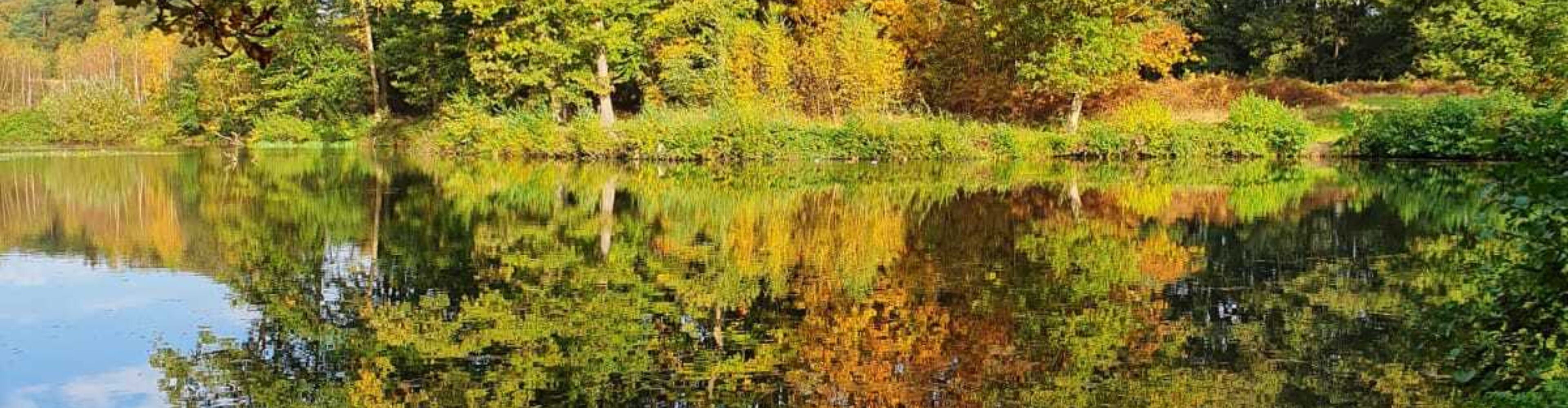 Camping Springendal | Kamperen bij natuurgebied Springendal in Twente